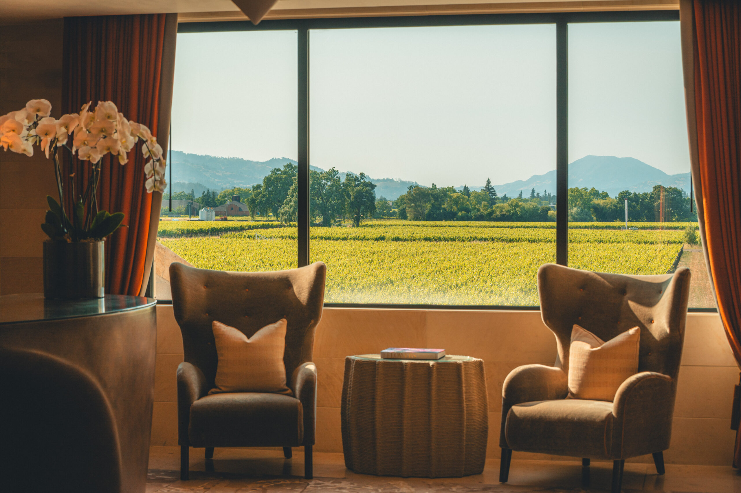 Prima Alpaca Curtains, Sandra Jordan