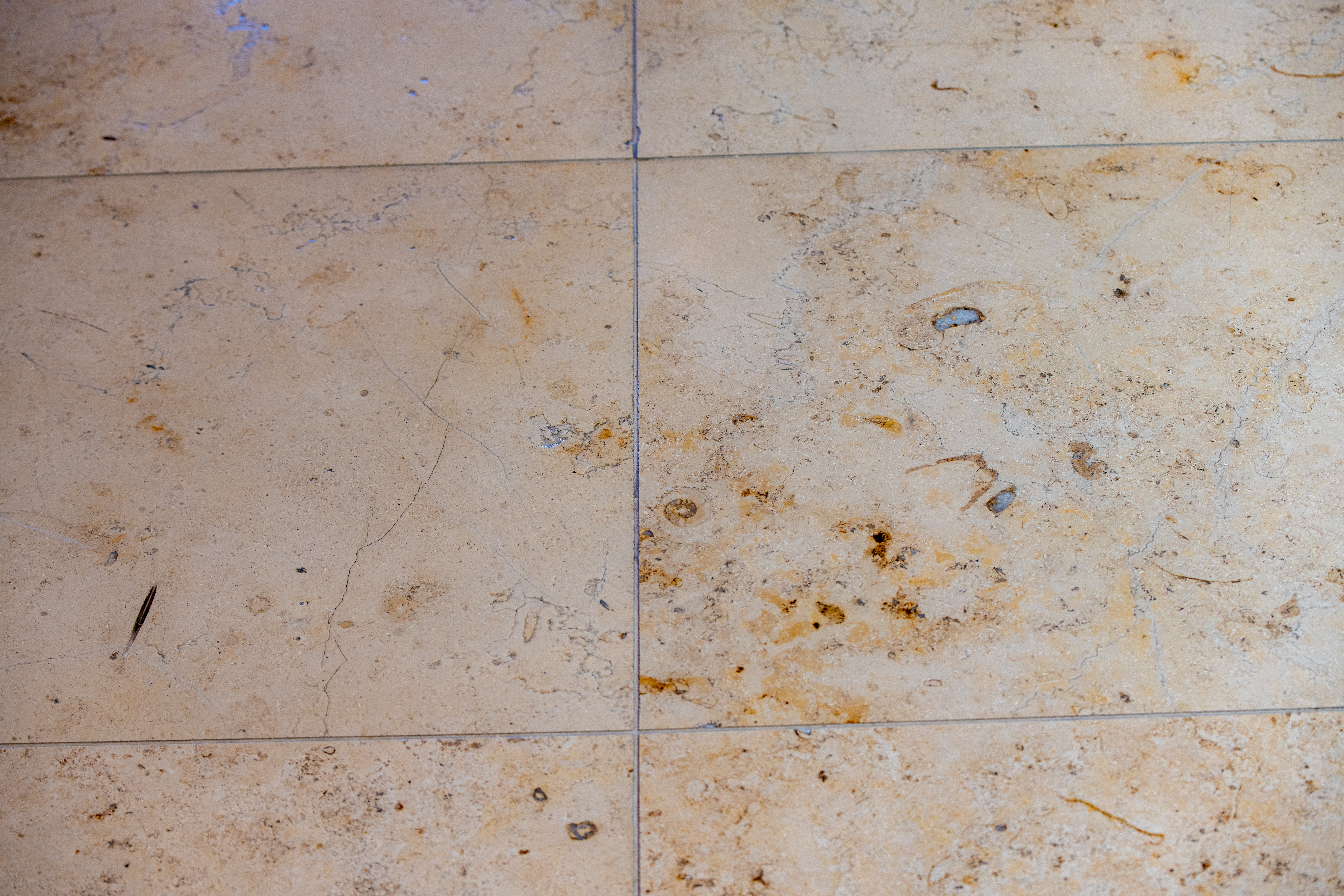 Limestone Floors