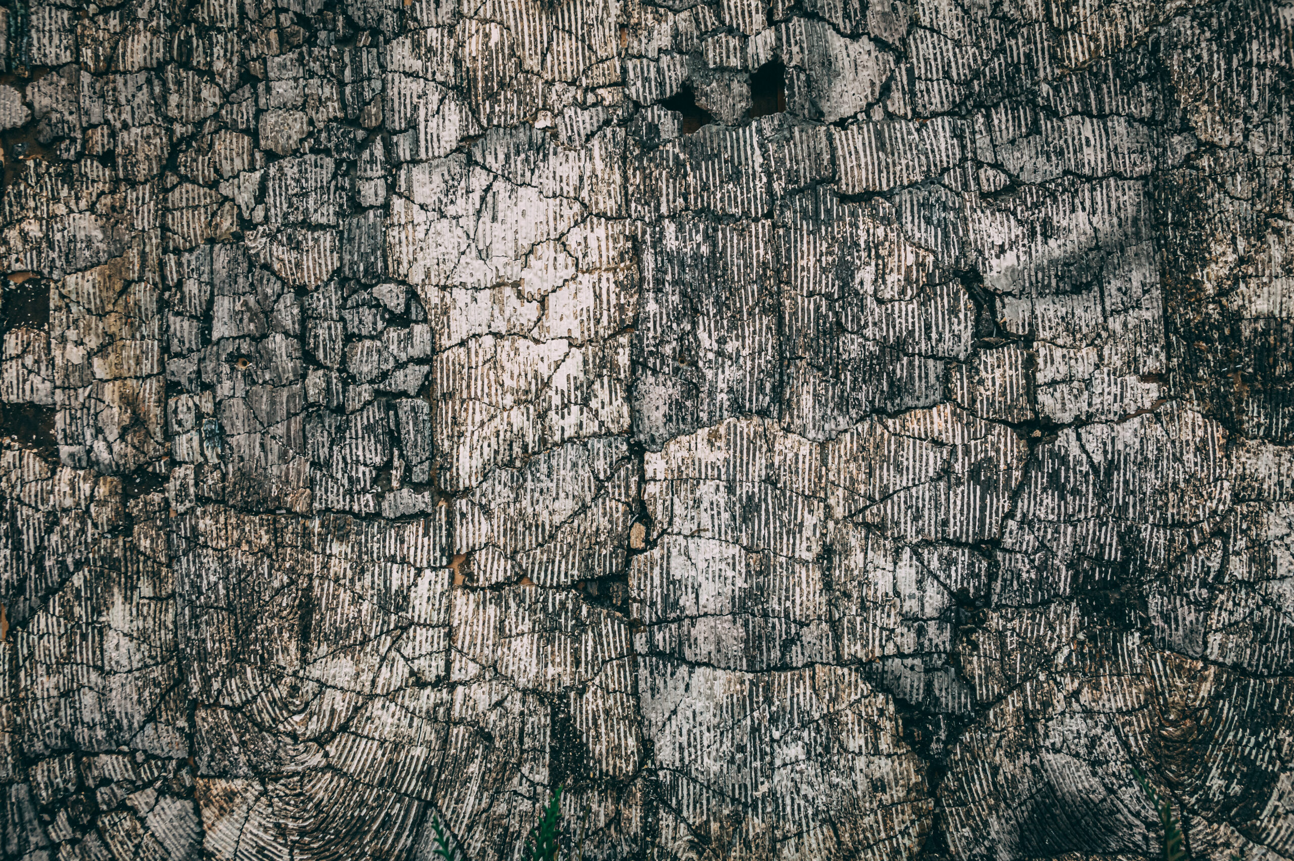 “Wall Fragment/One’s Floor Another’s Ceiling”, Pekka Paikkari