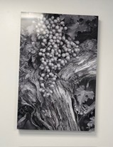 Lab Artwork, Todd Pickering