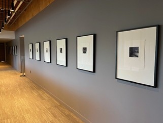 Luc Janssens Prints, Luc Janssens